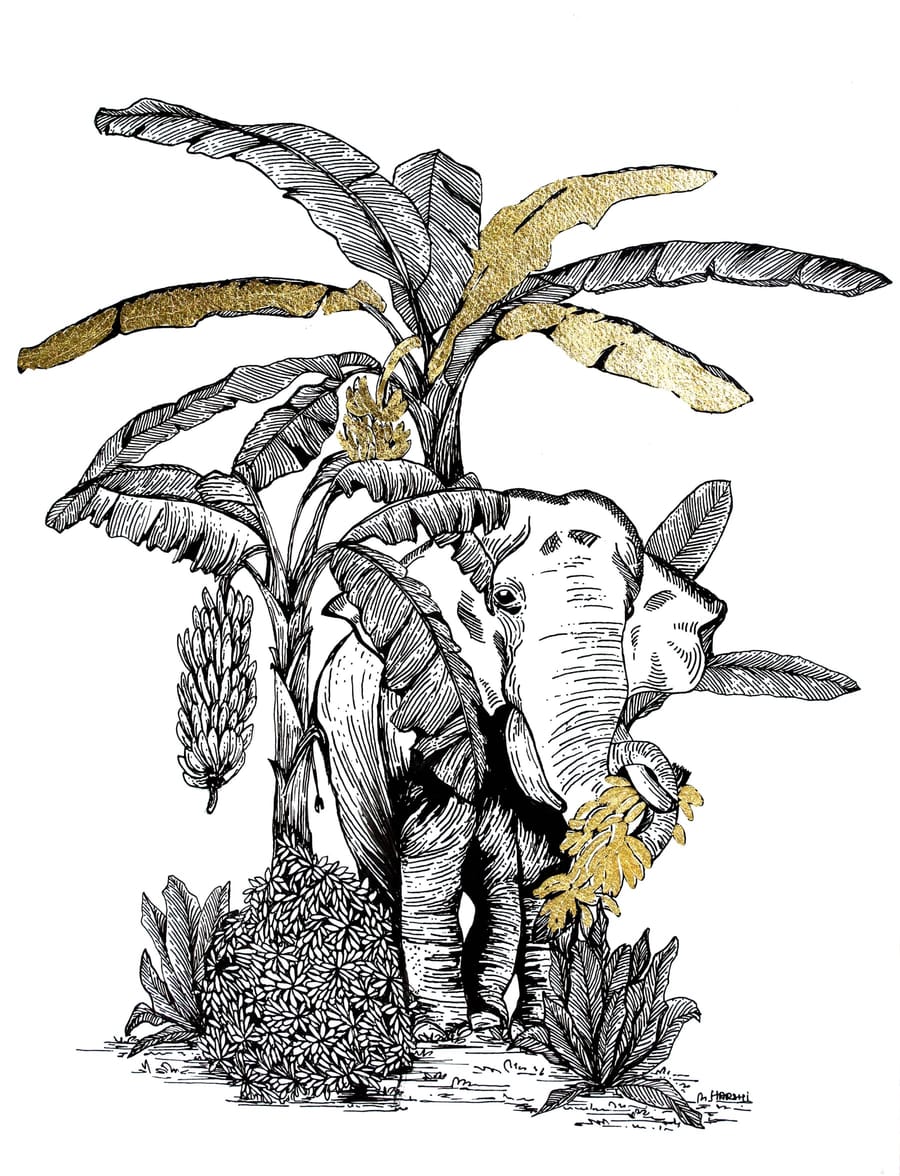 Banana Tree — Harshi Agarwal