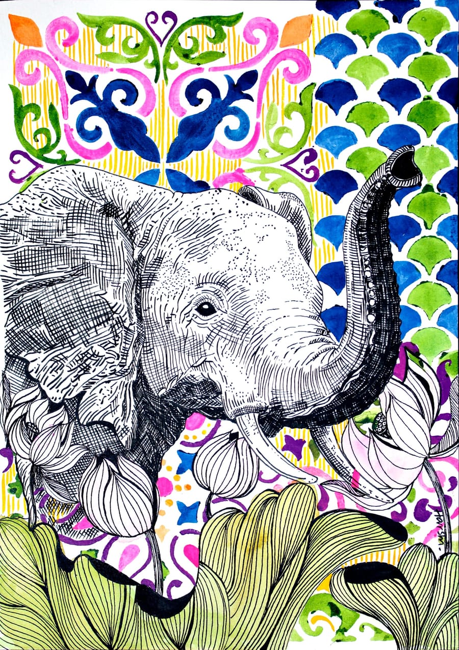 Celebration — Harshi Agarwal
