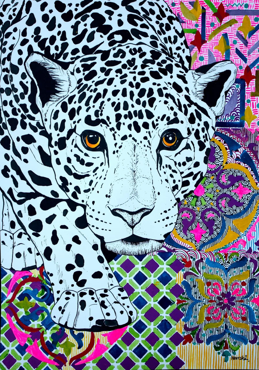 The Gaze — Harshi Agarwal